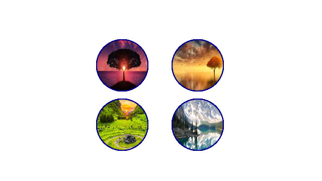 Canvas- Beautiful Image Gallery